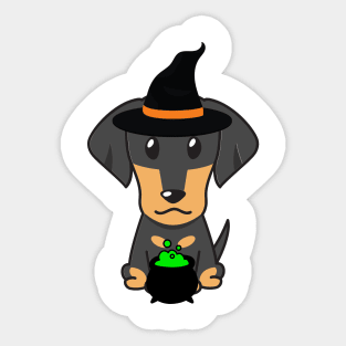 Cute dachshund dog is a witch Sticker